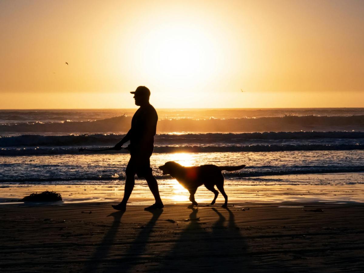 The Coming Weeks for Mobility&nbsp;Matters