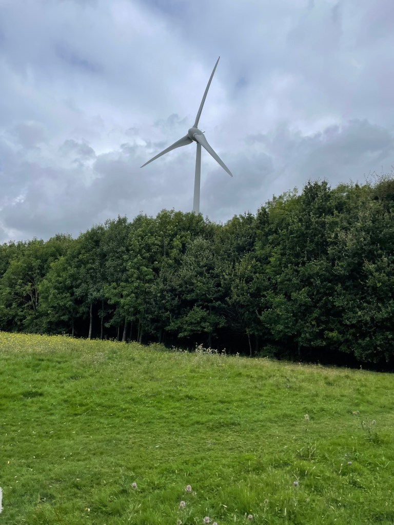 A series of 3 pictures of me in the Forest of Marston Vale. Showing trees, fields, and a wind turbine