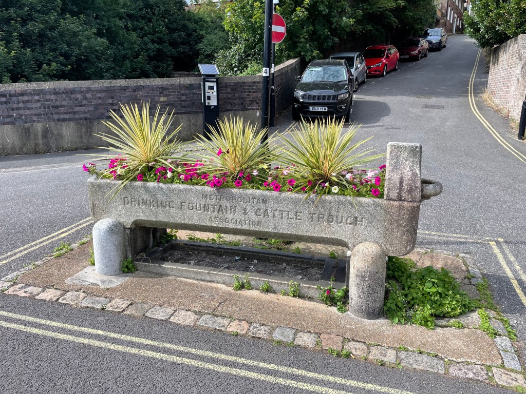 Horse trough in Lewes