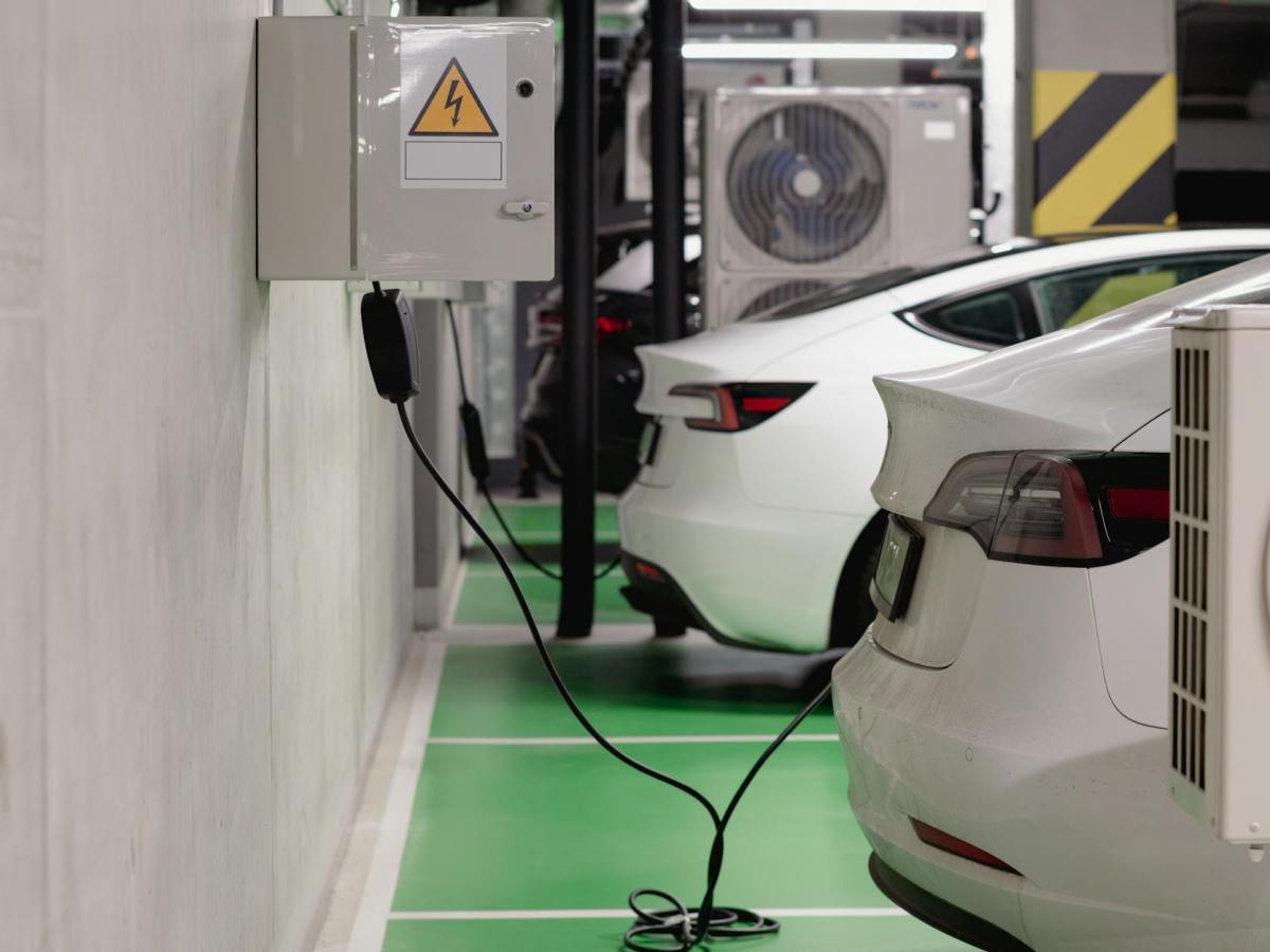 🐮 Calling Bulls**t