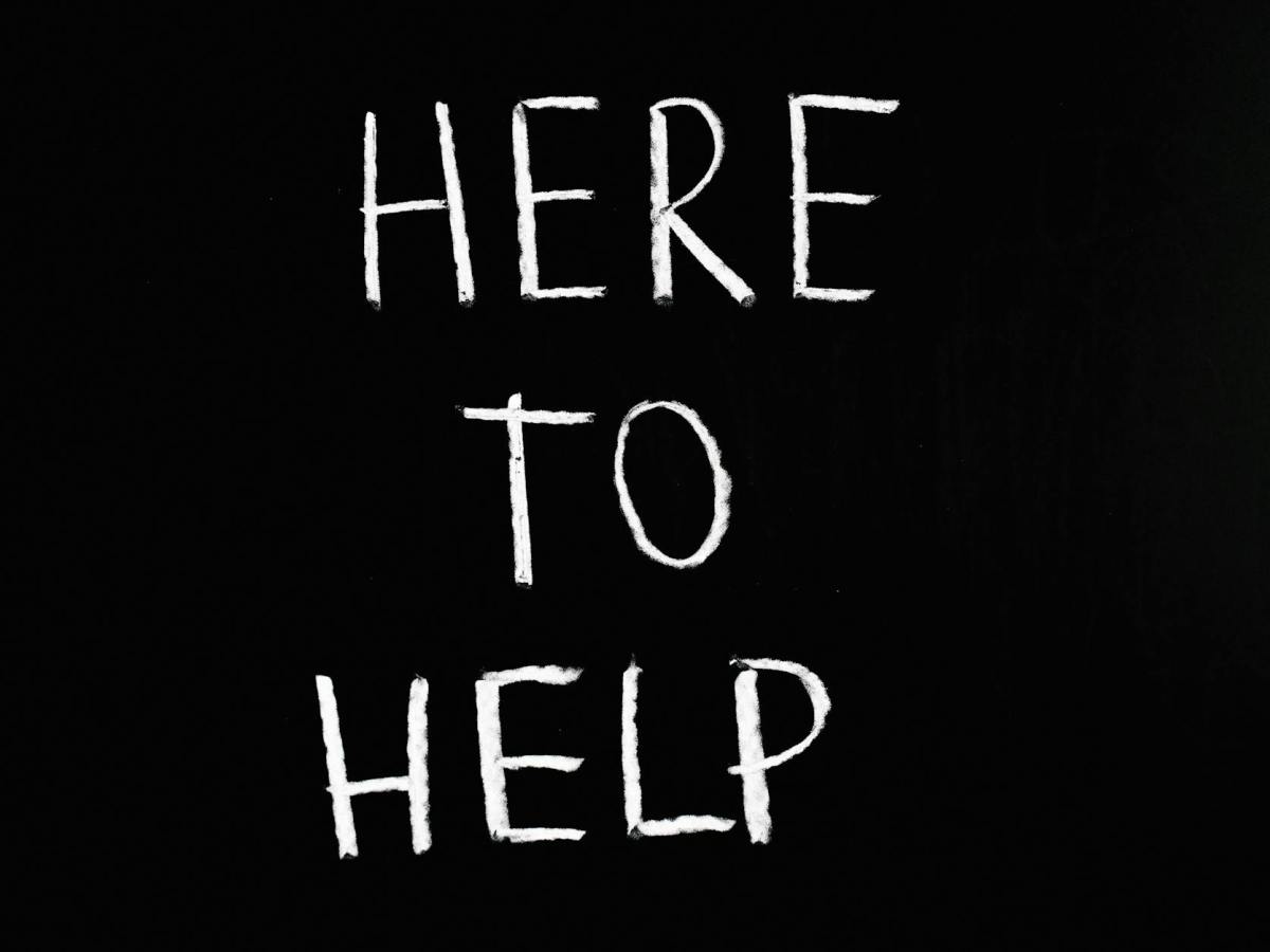 📏 Council Procedure