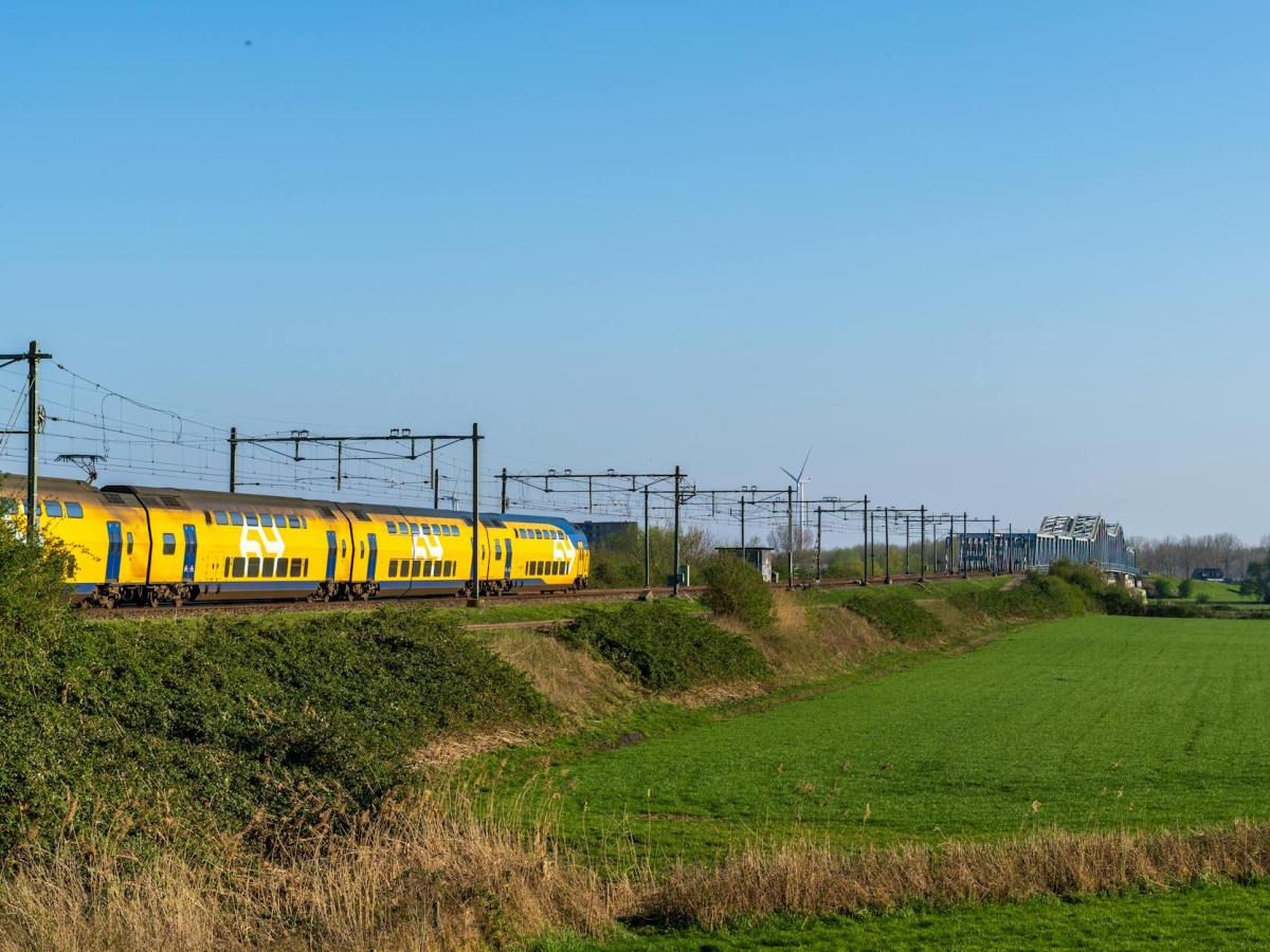 🐖 A Right Pigs&nbsp;Ear