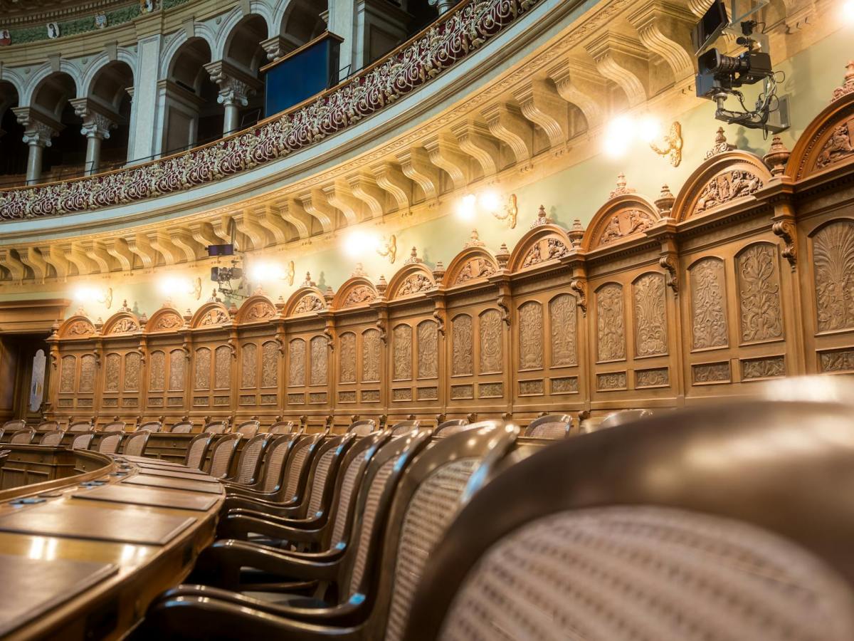 🐶 Bark and No&nbsp;Bite?