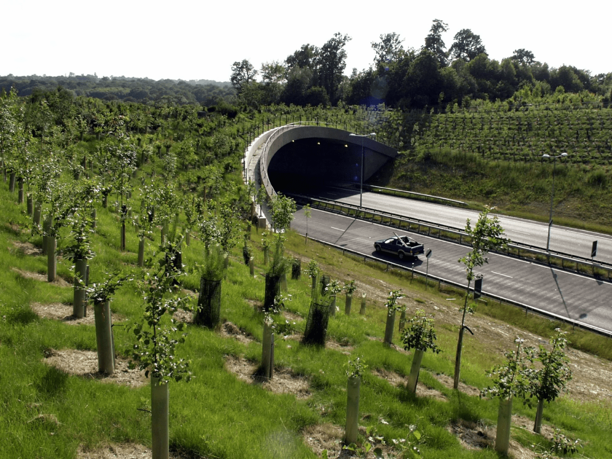 🦡 The Dishonesty of Nature v.&nbsp;Infrastructure